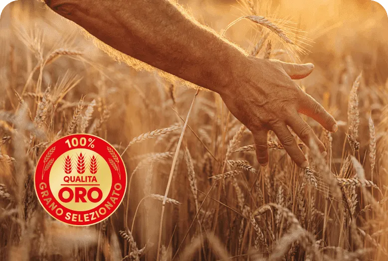 vignette-ble qualita oro